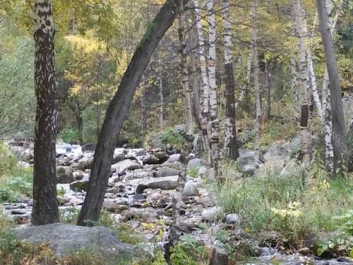 Ile-Alatau National Park stream