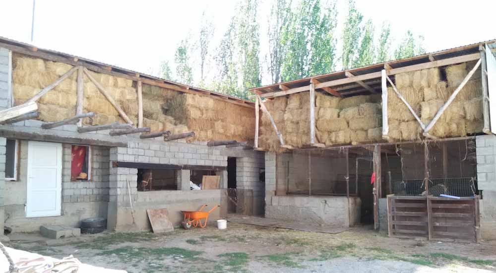 Courtyard of our homestay in Jabagly - in the Kazakh tradition, it is all about the livestock.