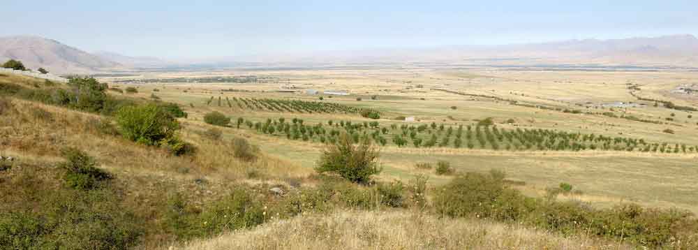 Apple orchards establishing