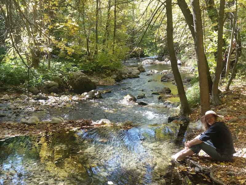 Picturesque deciduous forest with flowing stream - such a contrast to the surrounding dry hills 