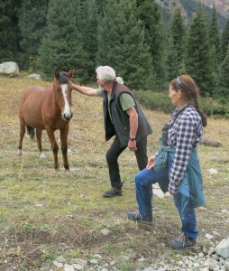 Free range horses with possibly the most diverse diet in the world