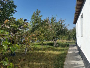 Apple orchard at Aksu Canyon ranger station